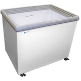 Excellence Commercial Products SPOT-6HCD Chest Freezers